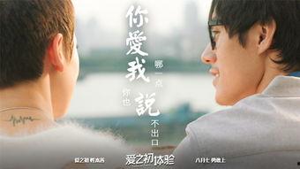 爱之初体验在线视频,揭秘青春期的情感萌芽与成长之旅